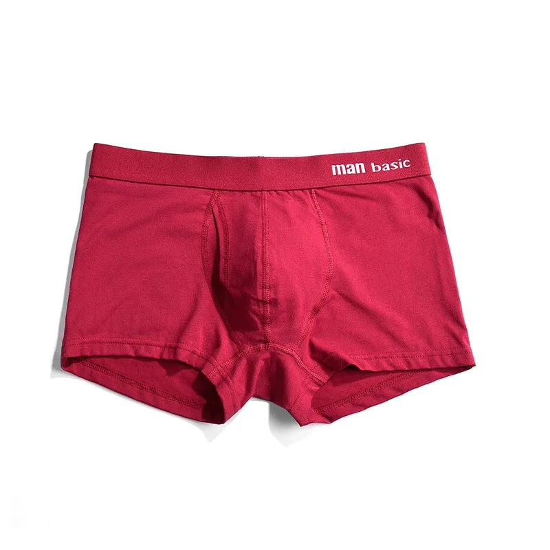 Mens Underwear 2021 Men Cotton Underpants Male Panties Shorts Underwear Boxer Shorts S to 3XL Cuecas Calecon Homme Boxer