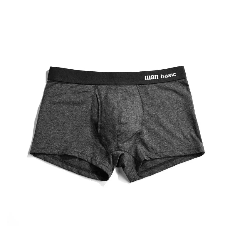 Mens Underwear 2021 Men Cotton Underpants Male Panties Shorts Underwear Boxer Shorts S to 3XL Cuecas Calecon Homme Boxer