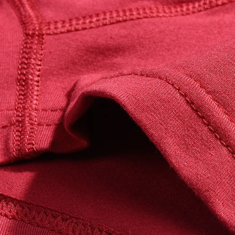 Mens Underwear 2021 Men Cotton Underpants Male Panties Shorts Underwear Boxer Shorts S to 3XL Cuecas Calecon Homme Boxer