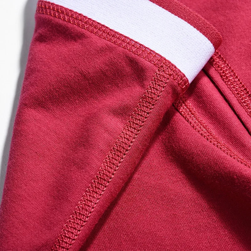 Mens Underwear 2021 Men Cotton Underpants Male Panties Shorts Underwear Boxer Shorts S to 3XL Cuecas Calecon Homme Boxer