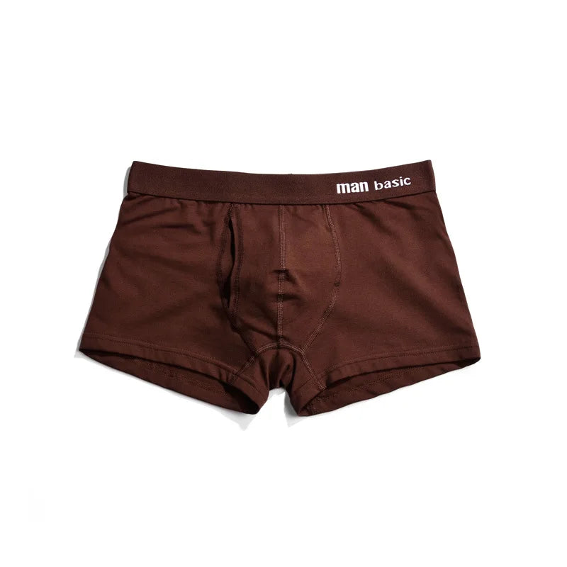 Mens Underwear 2021 Men Cotton Underpants Male Panties Shorts Underwear Boxer Shorts S to 3XL Cuecas Calecon Homme Boxer
